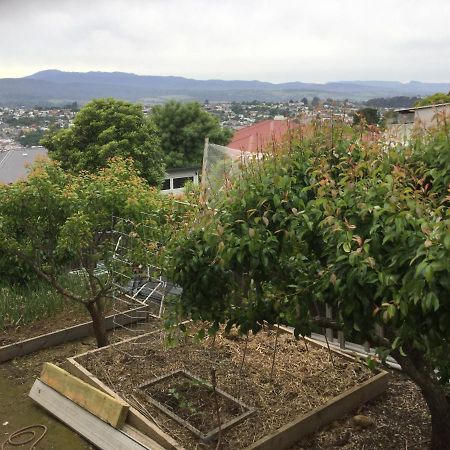 City View Townhouse Launceston Ngoại thất bức ảnh